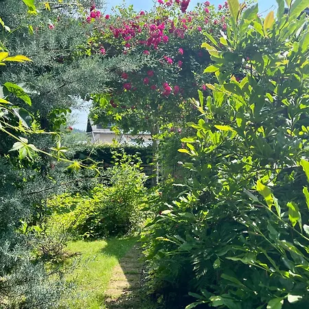 My Tiny Moos - Exklusiver Urlaub Im Tiny House (adults Only) Chalet Annenheim