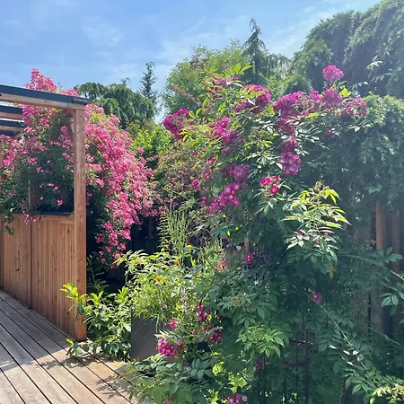 My Tiny Moos - Exklusiver Urlaub Im Tiny House (adults Only) Chalet